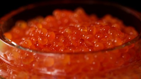 Red salmon salted roe caviar in big jar on black background close-up. Tasting salmon caviar salted roe. Hand with spoon takes of caviar from the glass bowl close-up slow motion