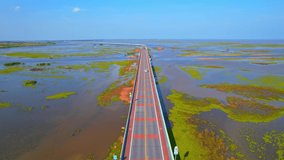 Drone video of the road leads through a large beautiful wetland. Thale Noi, Phatthalung, Thailand. 4K cinematic aerial view
