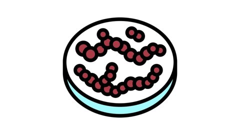 streptococcus bacteria color icon animation