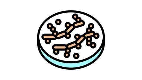 candida bacteria color icon animation
