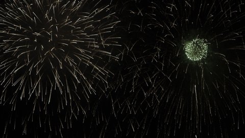 Colorful Firework Display lighting up the sky at night

