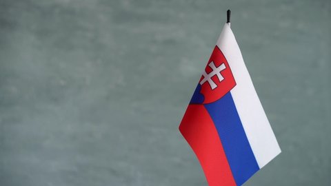 State flag of Republic of Slovakia waving on gray background. Slovak flag and place for text