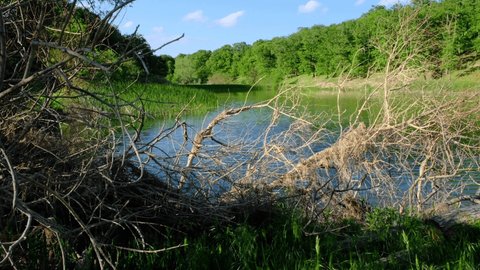 Strandja Forests Lake View Stock Footage Video (100% Royalty-free ...