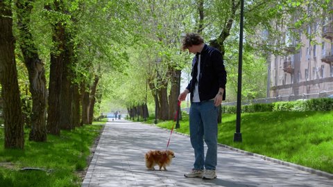 A young man walks with his Pomeranian dog in the park in the morning. The dog is tired and refuses to go. The guy picks up the dog and carries it in his arms. A walk in the fresh air.