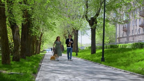 A beautiful couple walks their dogs in the park in the sunny summer. A walk in the park with pets.