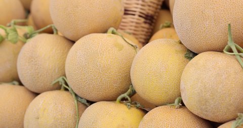Fresh ripe juicy melon in market closeup