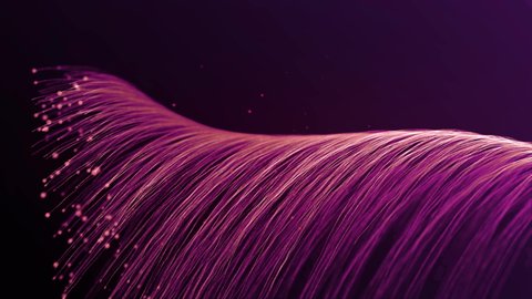 Many Pink Lines with Bright Particles Forming Wave and Disappear, Glowing and Moving on dark backround. Purple Particles lines. Spiral Structures. Lighting Effects. Animation. Gradient. Futuristic