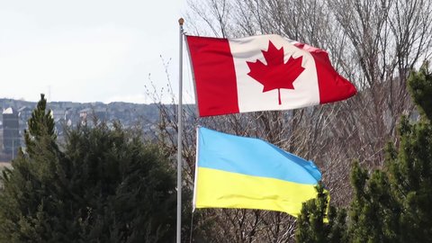 A flag pole with a Canadian and Ukraine flag waving with the wing. Concept: Canada's response to the Russian invasion of Ukraine