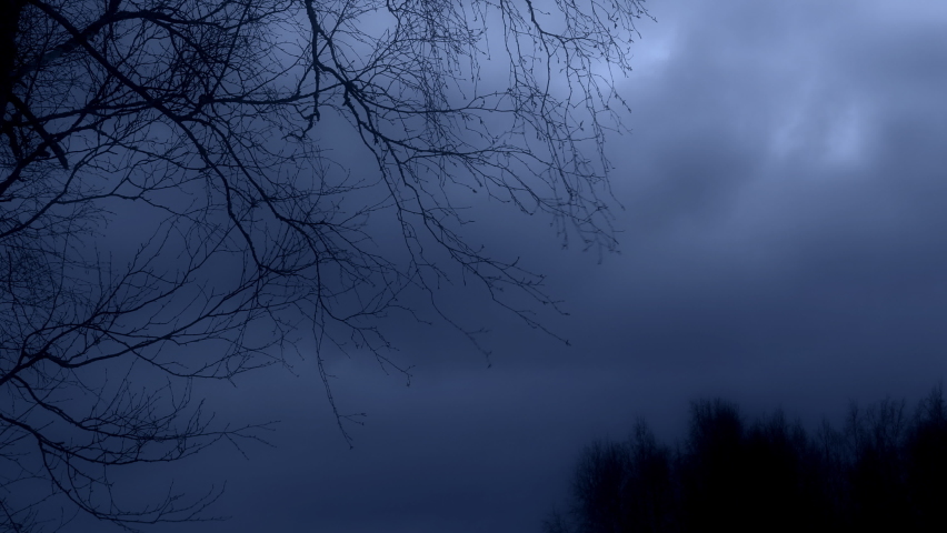 Frightening night storm with branches shaken by the wind in the rural landscape. Static view, real time. | Shutterstock HD Video #1090098457
