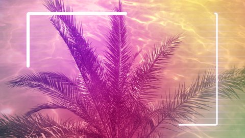 Tropical palm tree at night Neon Palm Trees Wallpapers Space futuristic landscape. Neon palm tree, tropical leaves Wallpapers background