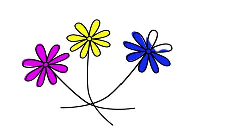 Chamomile flowers, daisy, camomile self drawing animation. Line art. White background. Violet yellow blue flowers.