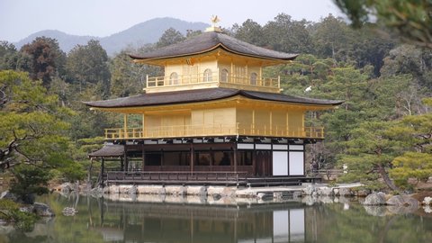 Pond mirror reflection of Golden Pavilion of Zen Buddhist temple Kinkaku-ji, Kyoto, Japan. Panning slowmotion footage in High quality. Scenic landscape of famous landmark and Unesco site.