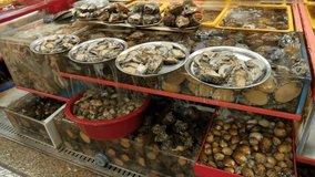 Jagalchi Fish Market with no tourist. Selling seashells. Busan, South Korea. High quality 4k footage. 