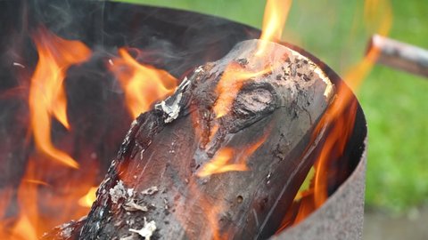 resin burns on a pine log