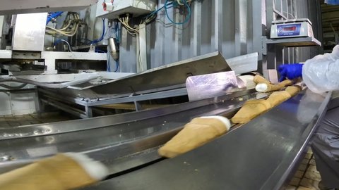Ice cream factory. Modern automated ice cream production line. Ice cream production line