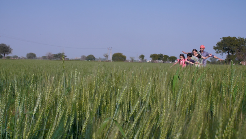 A cheerful family of an Indian village playing and having fun in the open field - family bonding. Nuclear family in village - Happy family, Village parents with their kids on the green wheat farm Royalty-Free Stock Footage #1090118271