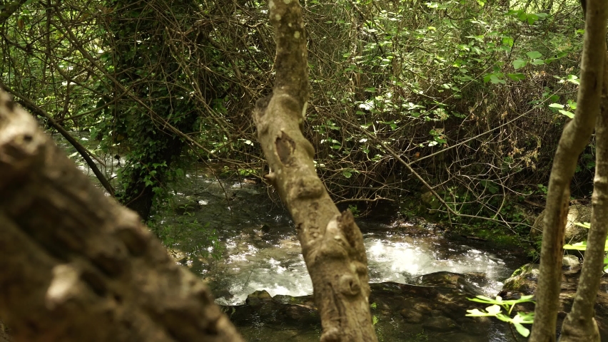 River scenes in the forest in Cadiz Spain Sierra de Grazalema tourism. MAJACEITE RIVER ROUTE – BENAMAHOMA TO THE FOREST. VISIT GRAZALEMA