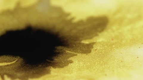 Ink drop. Sparkling fluid mix. Fantasy flower. Black oil stain splash in defocused golden color shimmering liquid abstract art background.