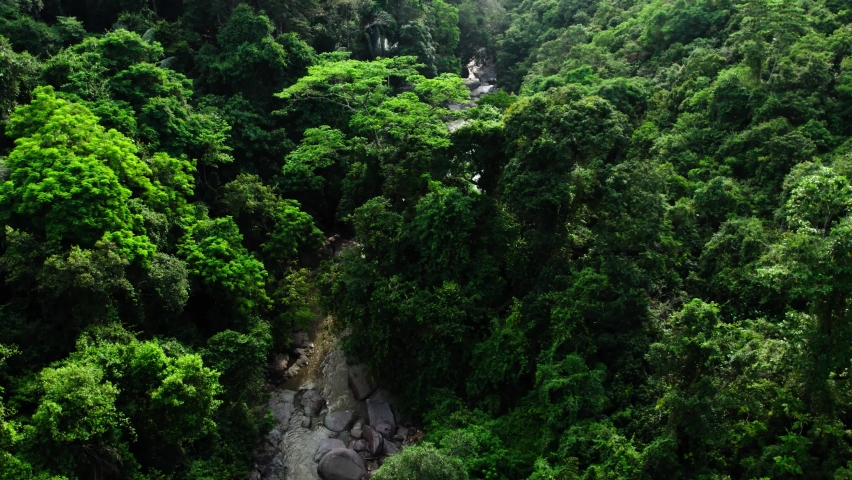 Aerial view over a dense scenic rainforest | Shutterstock HD Video #1090129797