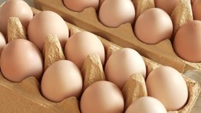 Close-up view 4k stock video footage of fresh raw organic chicken eggs from farmer isolated in special carton egg box or package. Food abstract background