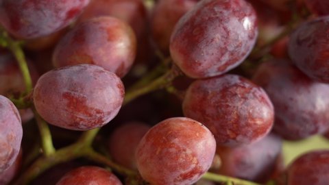 Close up view 4k video footage of sunny red seeded organic grapes raisins. Fruits of Chile. Grapes video background
