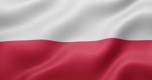 4K 3D Seamless loop animation of the Polish  flag. Accurate dimensions and official colors. Symbol of patriotism and freedom. 