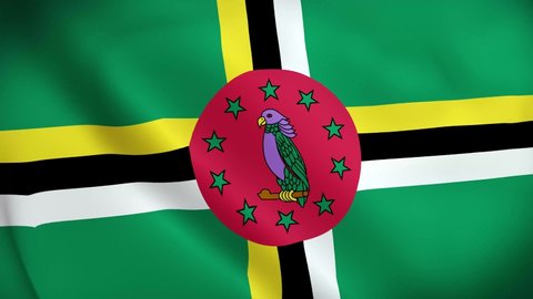 4K National Animated Sign of Dominica, Animated Dominica flag, Dominica Flag waving, The national flag of Dominica animated.