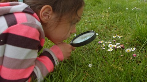 Cute little girl is looking at the flowers in the park with a magnifying glass. Concentrated child studies the nature of plants, looks through a magnifying glass. Adventure tourism travel concept.