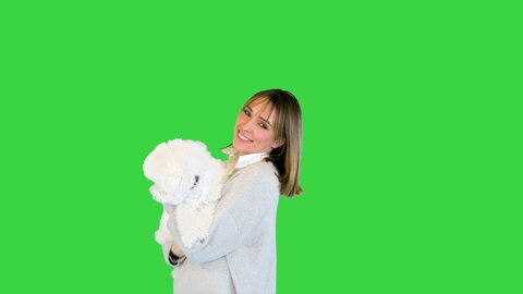 Charming girl standing with bichon frise in her hands on a Green Screen, Chroma Key.