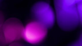 purple with shining pink Floating colourful defocused Particles Black Background in Slow Motion. Futuristic glittering fly movement flickering loop in space. - Powered by Shutterstock - Get 15% off with code: PIKWIZARD15