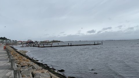 Seagulls flying over Ria de Aveiro, Torreira, Portugal, on grey day. Pier with boats moored. April 2022