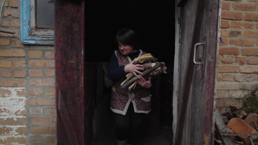 An elderly woman with a handful of firewood comes out of the barn and walks across the yard.A villager in old clothes is doing household chores.The concept of poverty. Rural life. Dog with a stick.