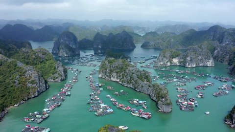 The Floating Market surrounded by hills in Cat Ba Island, Vietnam