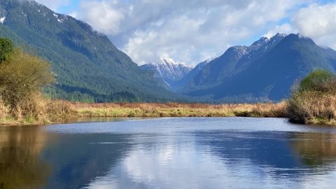 Beautiful foresed mountains near a lake in Pitt Meadows, Canada under the bright sunlight
