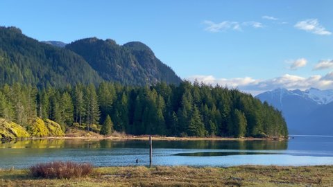 Beautiful forest ed mountains near a lake in Pitt Meadows, Canada under the bright sunlight
