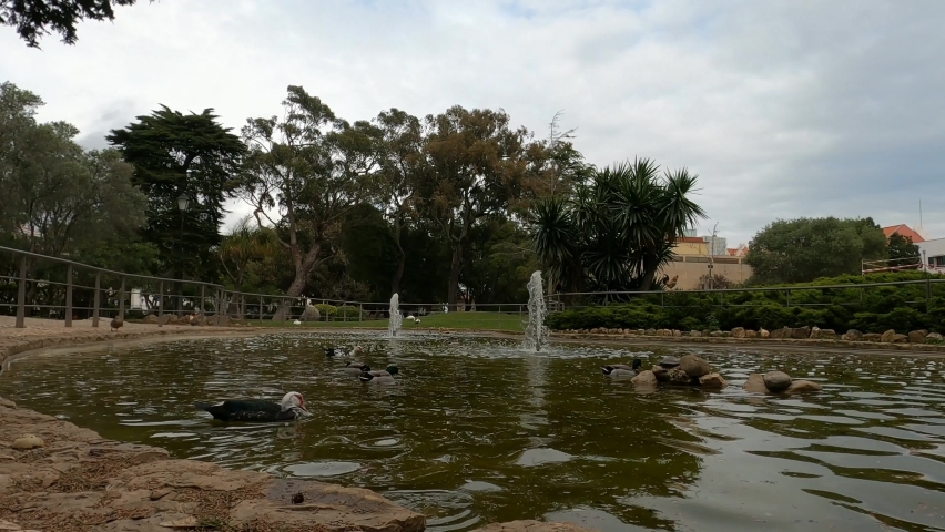 The Marshal Park at daylight in HD