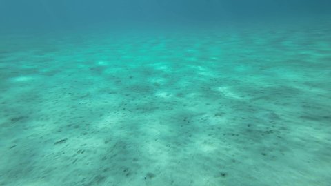 Slow motion, Glare of the sun on a sandy bottom in the surf zone. Sunrays on seabed. Camera slowly moving forwards above sandy bottom. Underwater background