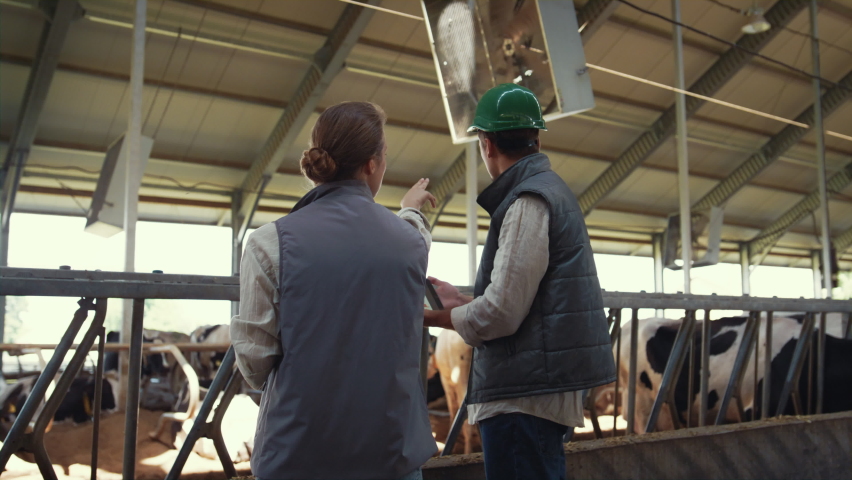 Cowshed workers talking animals feedlots together. Farming managers at work. Livestock engineers farm veterinarians inspect cows using tablet computer. Agricultural professionals team discuss results Royalty-Free Stock Footage #1090170937