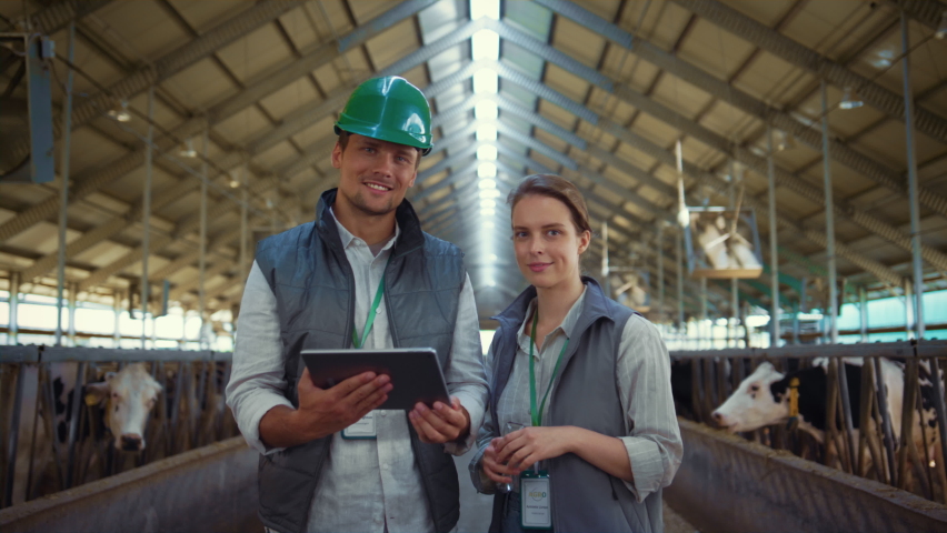 Livestock workers posing cowshed together. Holstein cows eating in feedlots. Animal farmers cattle breeding specialists holding tablet computer discussing data. Farming managers veterinarians concept. Royalty-Free Stock Footage #1090170957