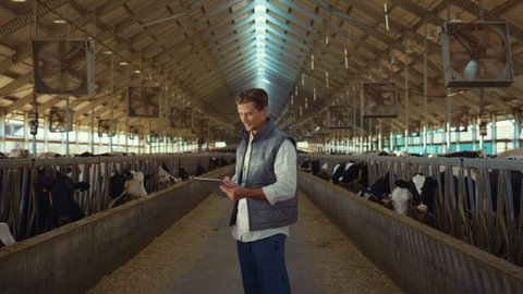 Livestock engineer work cowshed holding clipboard. Handsome man agricultural manager inspecting making notes at stalls dairy farmland. Smiling owner check animals. Holstein cows eating in feedlots. 