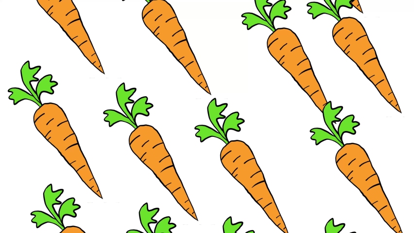 carrots vegetable background animation. Hand drawn over white background.