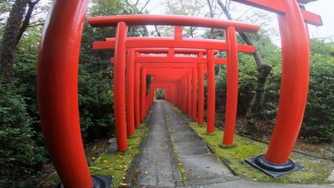 Nagoya, Japan - October 20, 2019: Video of walking through the bright  vermilion torii gates at Nagoya Branch of Chiyo Inari Shrine. Nagoya. Japan