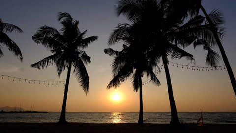 Najomtien beach Pattaya Thailand, sunset at a tropical beach with palm trees. Pattaya Thailand, Na Jomtien beach with pal trees during sunset in Pattaya Thailand