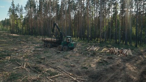 Tractor In Forest Moving Tree Trunks. Lumber Machinery For Wood Production. Lumber Machinery In Forestry Works. Lumber Machinery To Get Timber. Transpiration Of Materials. Logging. Deforestation.