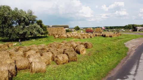 Kaliningrad, Russia, 13, August, 2021:
Haystacks are harvested on a farm for the winter, a farmer and his guard dog, a drone view of a rural landscape in summer