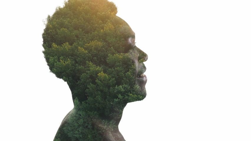 Nature vitality. Freedom inspiration. Prosperity growth. Double exposure side view silhouette of happy smiling guy face with green trees foliage isolated on white empty space.