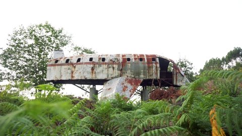 Isolated rusty dilapidated plane lost in the middle of the jungle, surrounded by ferns