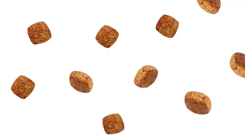 Close up dog food falling and flying around poured in different directions, isolated on white. 4k hi-res | Shutterstock HD Video #1090208733