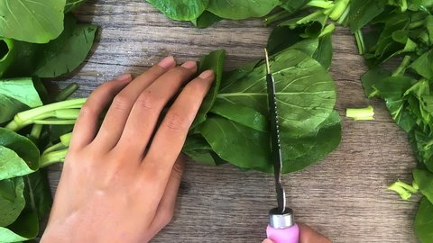 Close-up of professional chef's hands slicing, preparing pak choi, bok choy in half for cooking. someone slice the caisin leaves with a knife.