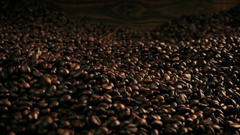 Passing Large Pile Of Coffee Beans - Coffee Production Concept